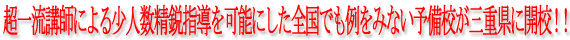 ���ꗬ�u�t�ɂ�鏭�l�����s�w�����\�ɂ����S���ł�����݂Ȃ��\���Z���O�d���ɊJ�Z